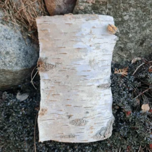 Birch Bark Kindling For Sauna Stove